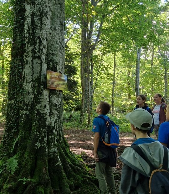 ZAJEDNO U PLANINE – IZLET NA IVANŠČICU (1060 mnv)