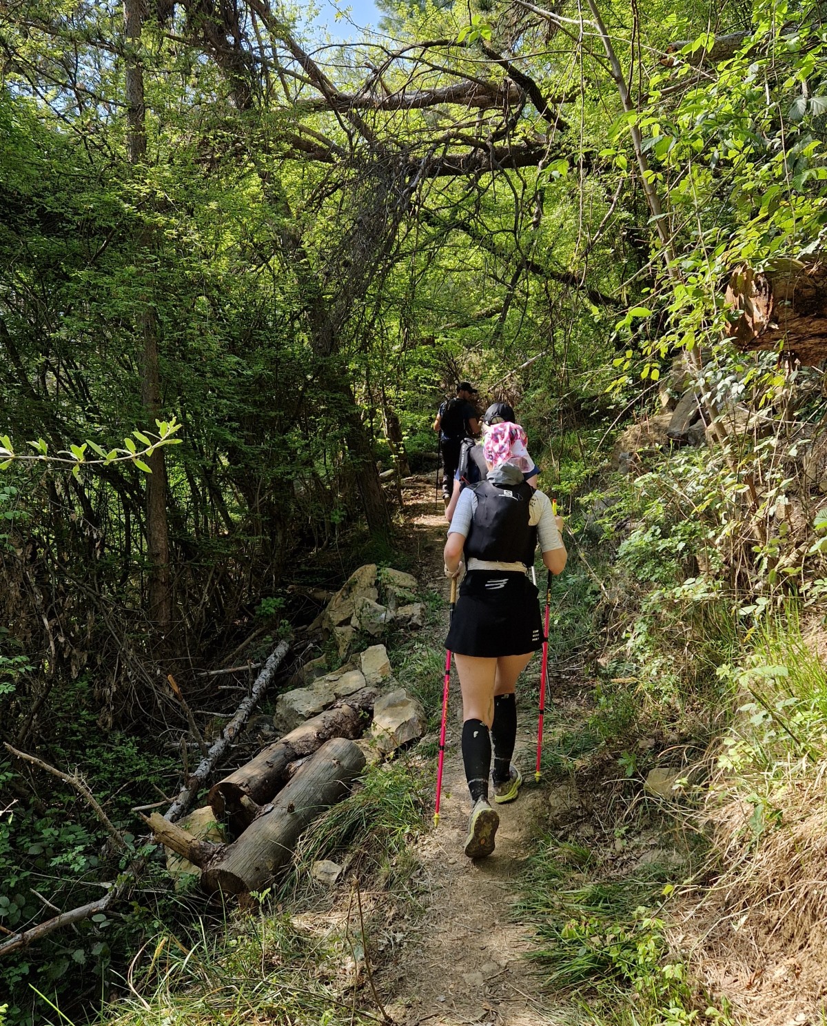 Trail trčanje